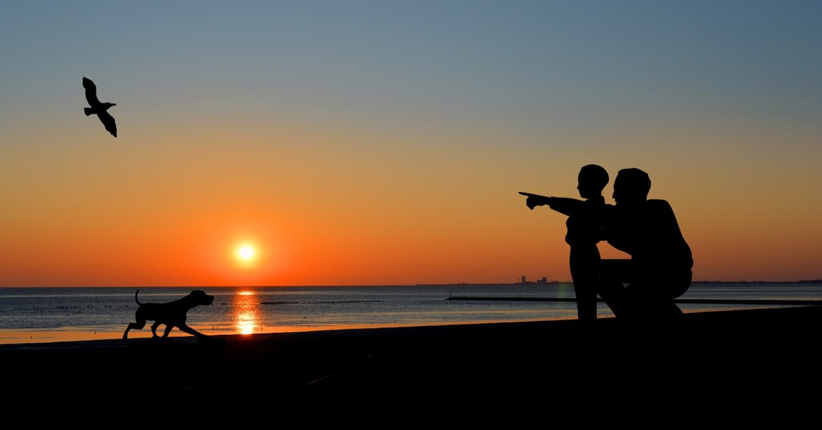 Sunset by Frauke Reither sunset 4546491 1280 1200x628 1